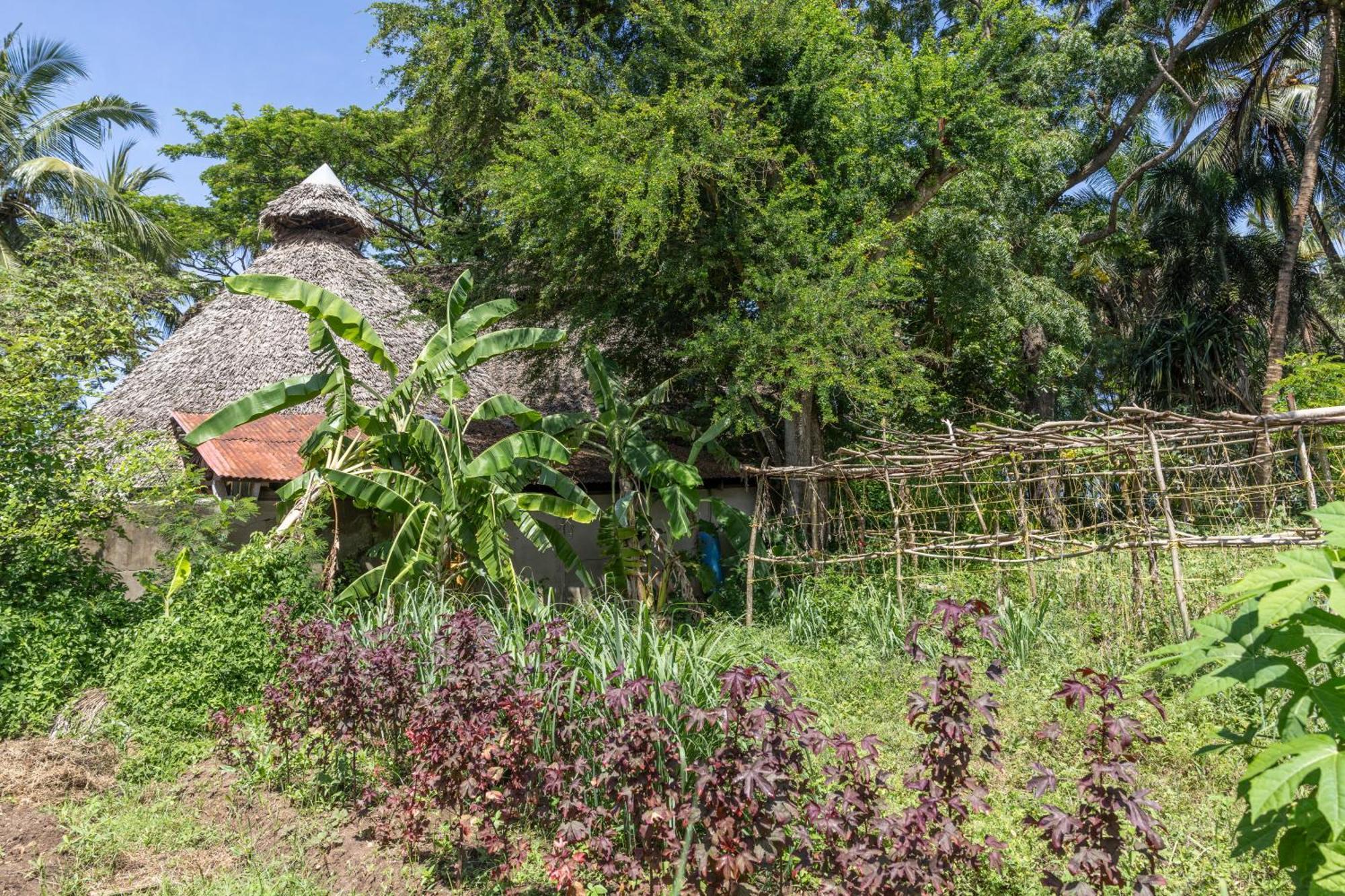 Mbweni Ruins & Gardens Previously Jungle Paradise Zanzibar المظهر الخارجي الصورة