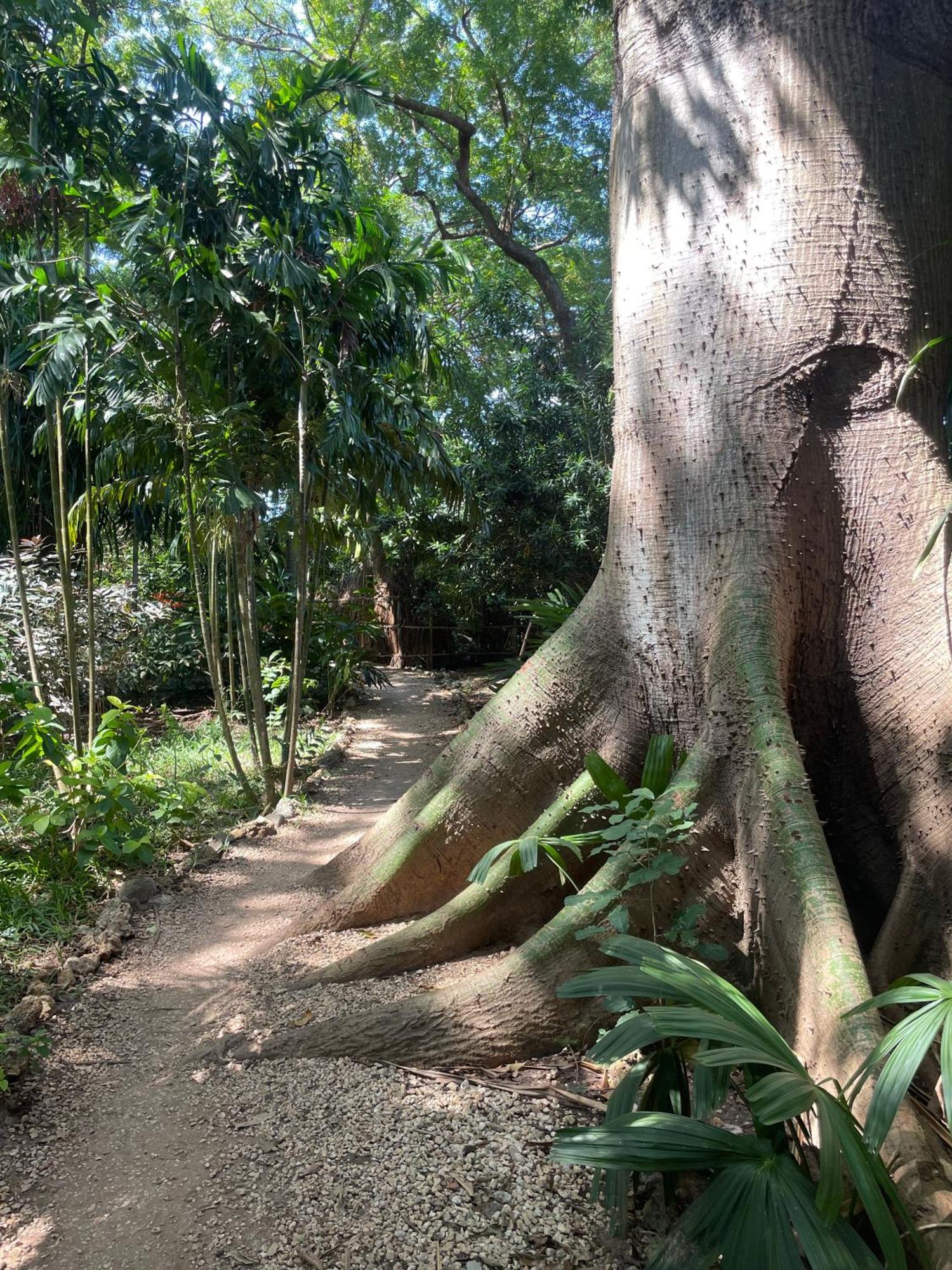 Mbweni Ruins & Gardens Previously Jungle Paradise Zanzibar المظهر الخارجي الصورة
