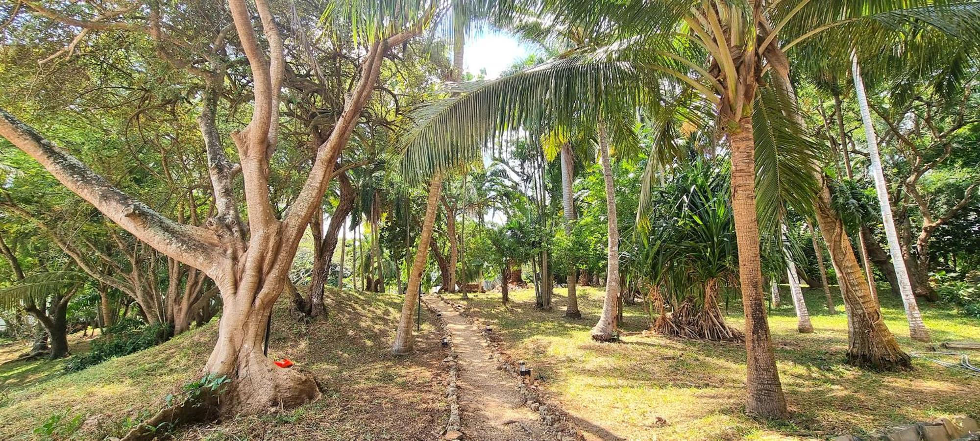 Mbweni Ruins & Gardens Previously Jungle Paradise Zanzibar المظهر الخارجي الصورة