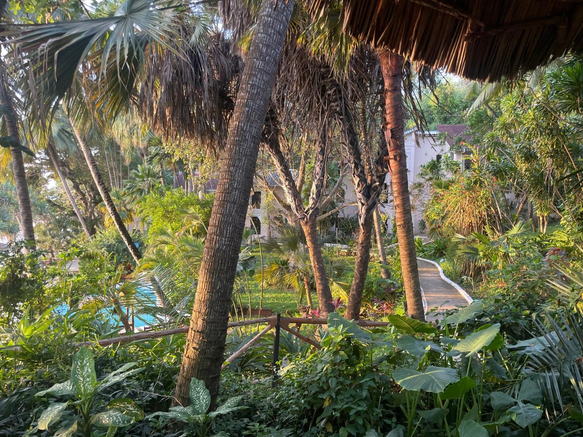 Mbweni Ruins & Gardens Previously Jungle Paradise Zanzibar المظهر الخارجي الصورة