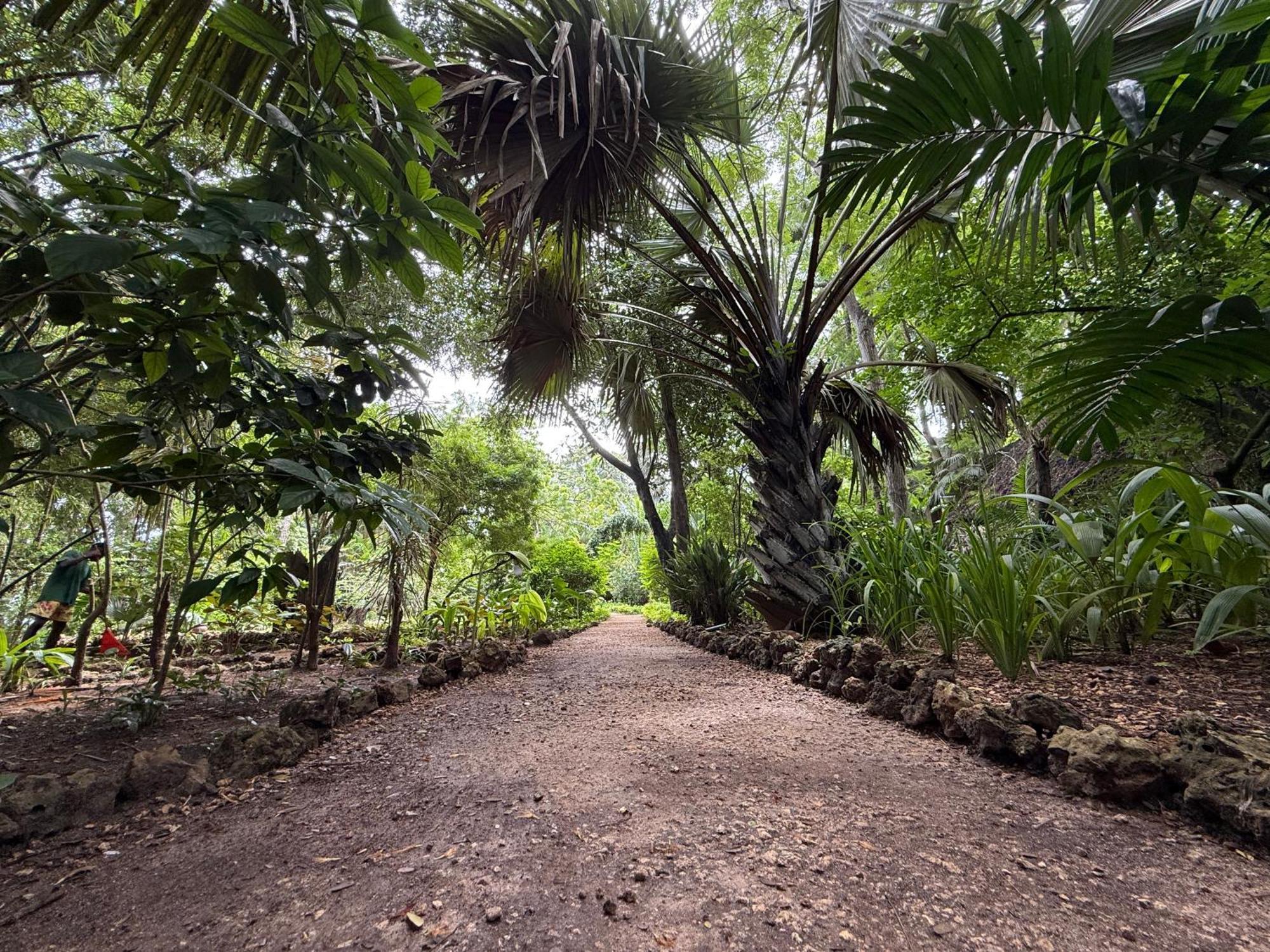 Mbweni Ruins & Gardens Previously Jungle Paradise Zanzibar المظهر الخارجي الصورة