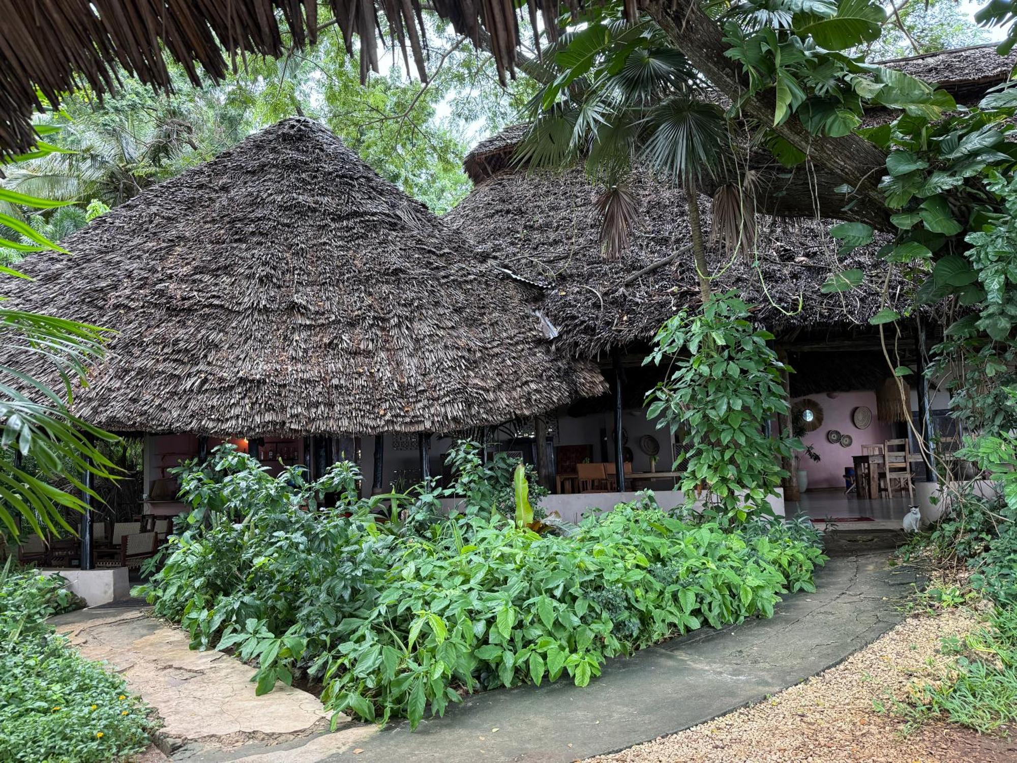 Mbweni Ruins & Gardens Previously Jungle Paradise Zanzibar المظهر الخارجي الصورة