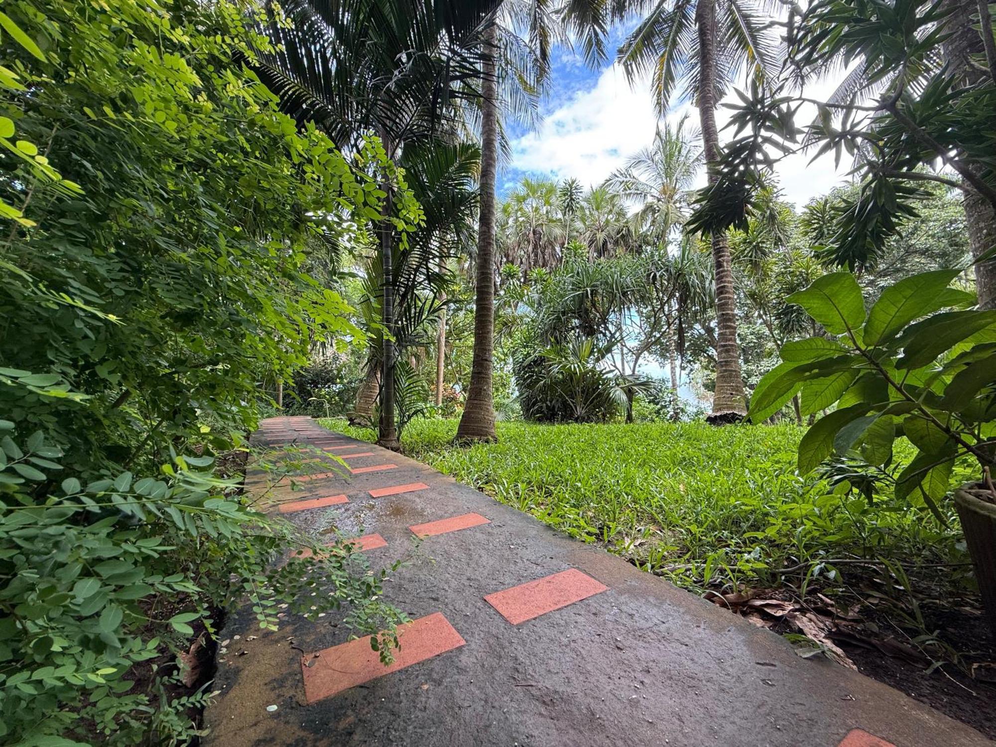 Mbweni Ruins & Gardens Previously Jungle Paradise Zanzibar المظهر الخارجي الصورة