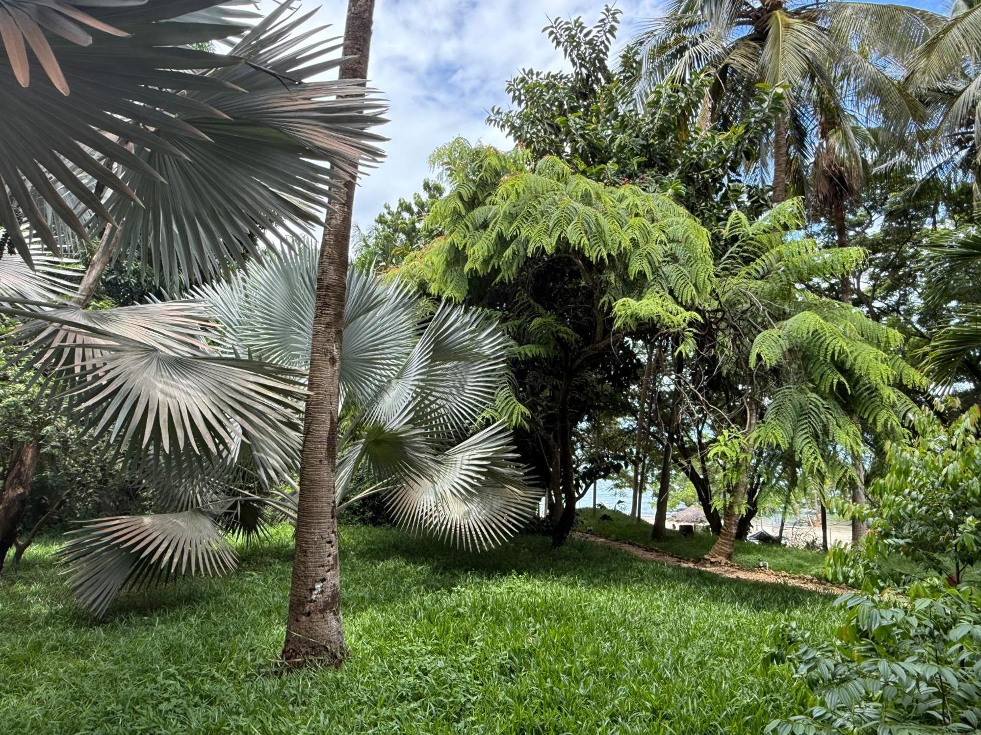 Mbweni Ruins & Gardens Previously Jungle Paradise Zanzibar المظهر الخارجي الصورة